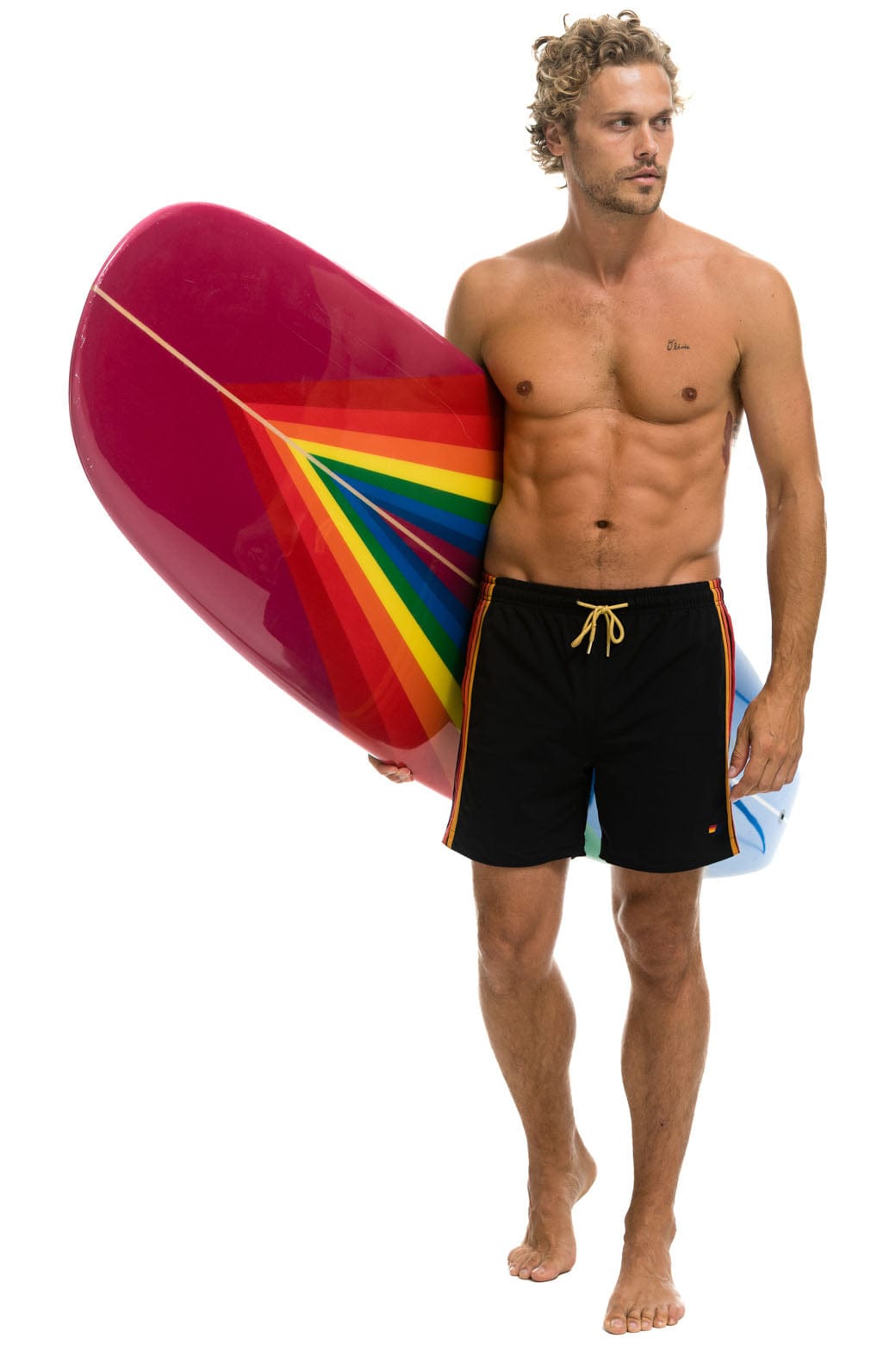 Aviator Nation AVIATOR NATION HYBRID BOARD - RAINBOW