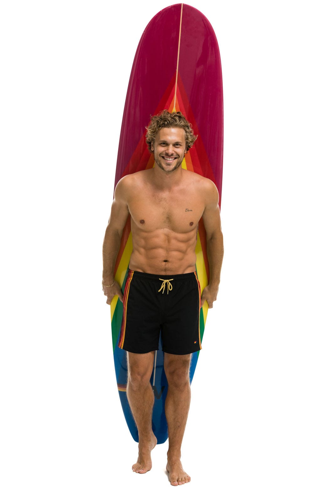 Aviator Nation AVIATOR NATION HYBRID BOARD - RAINBOW