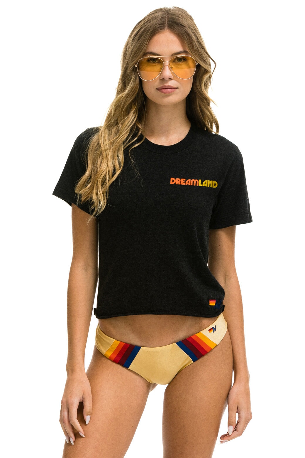 Aviator Nation DREAMLAND LOGO BOYFRIEND TEE	- BLACK