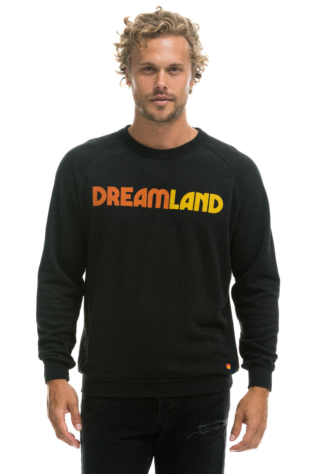 Aviator Nation DREAMLAND LOGO CREW SWEATSHIRT - BLACK