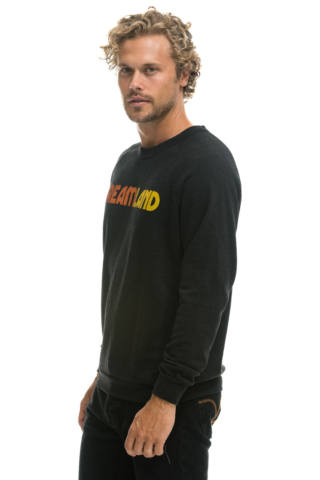 Aviator Nation DREAMLAND LOGO CREW SWEATSHIRT - BLACK