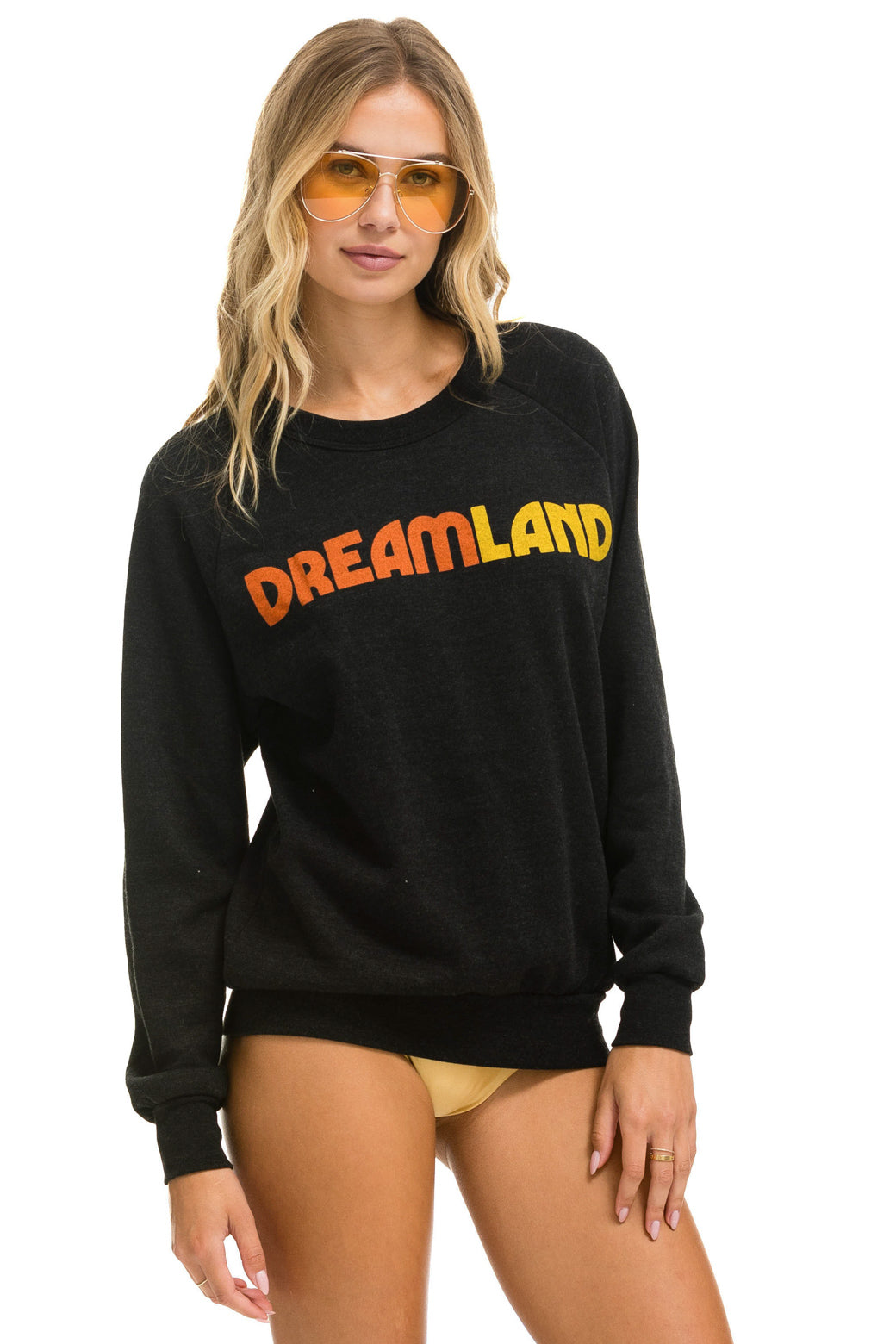 Aviator Nation DREAMLAND LOGO CREW SWEATSHIRT - BLACK