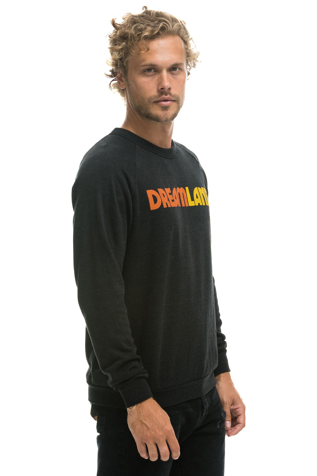 Aviator Nation DREAMLAND LOGO CREW SWEATSHIRT - BLACK