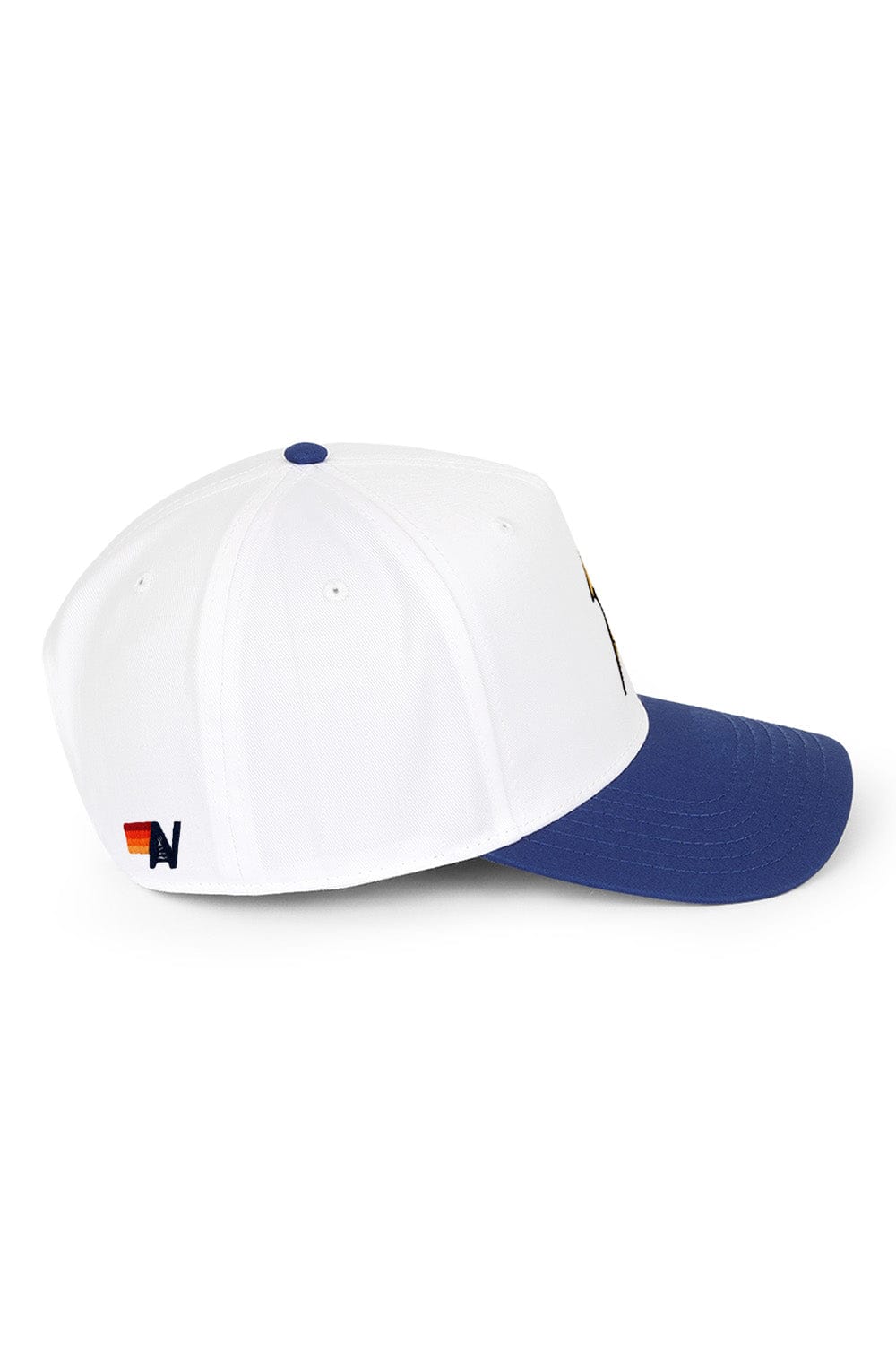 Aviator Nation BOLT - VINTAGE LOW RISE TWILL HAT