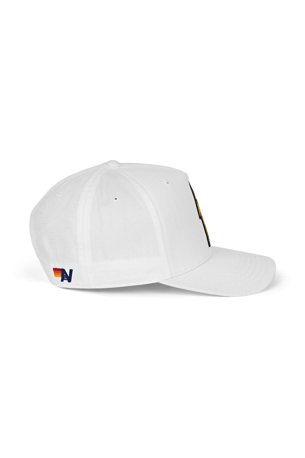 Aviator Nation BOLT - VINTAGE LOW RISE TWILL HAT
