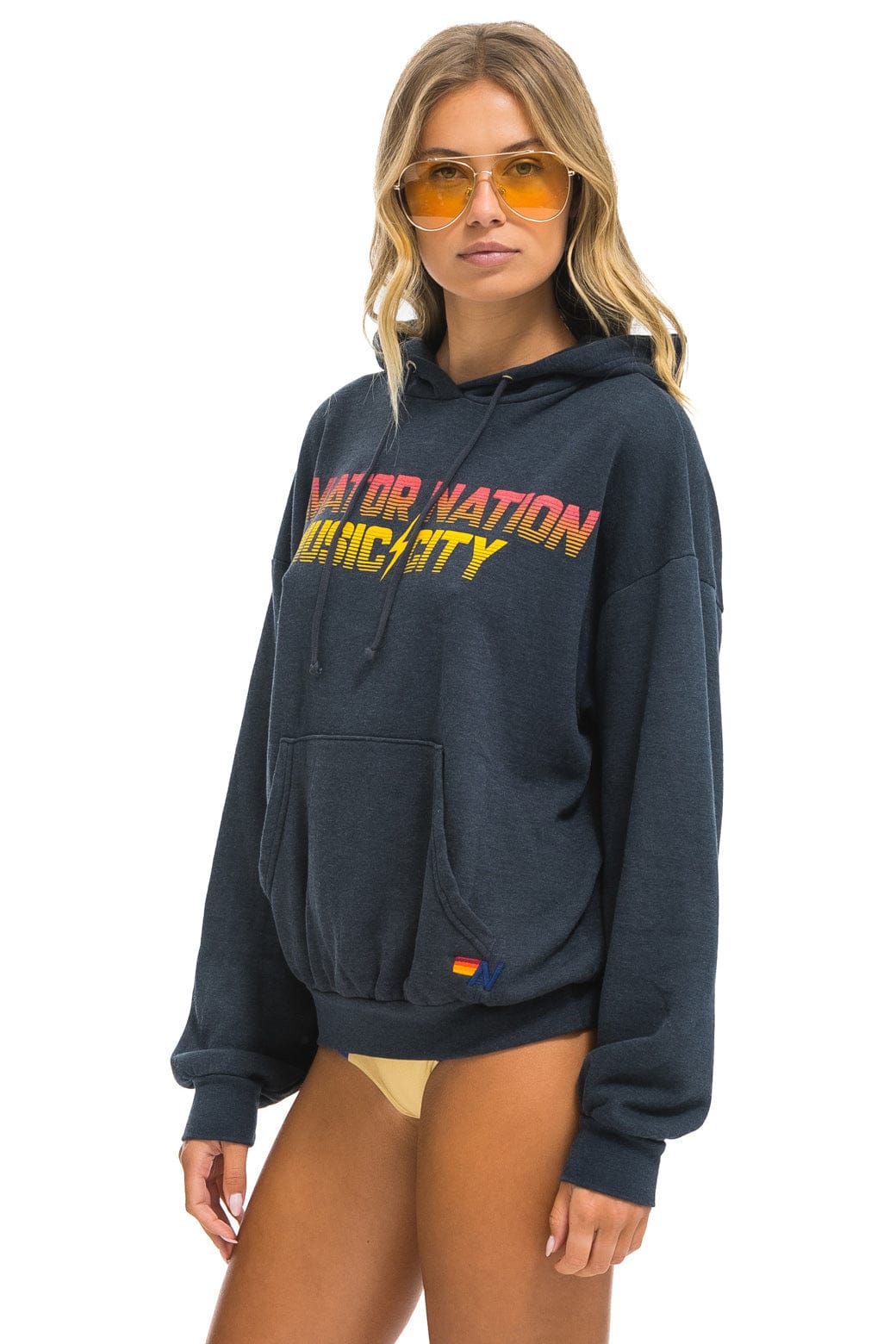 Aviator Nation NASHVILLE MUSIC CITY PULLOVER HOODIE RELAXED - CHARCOAL