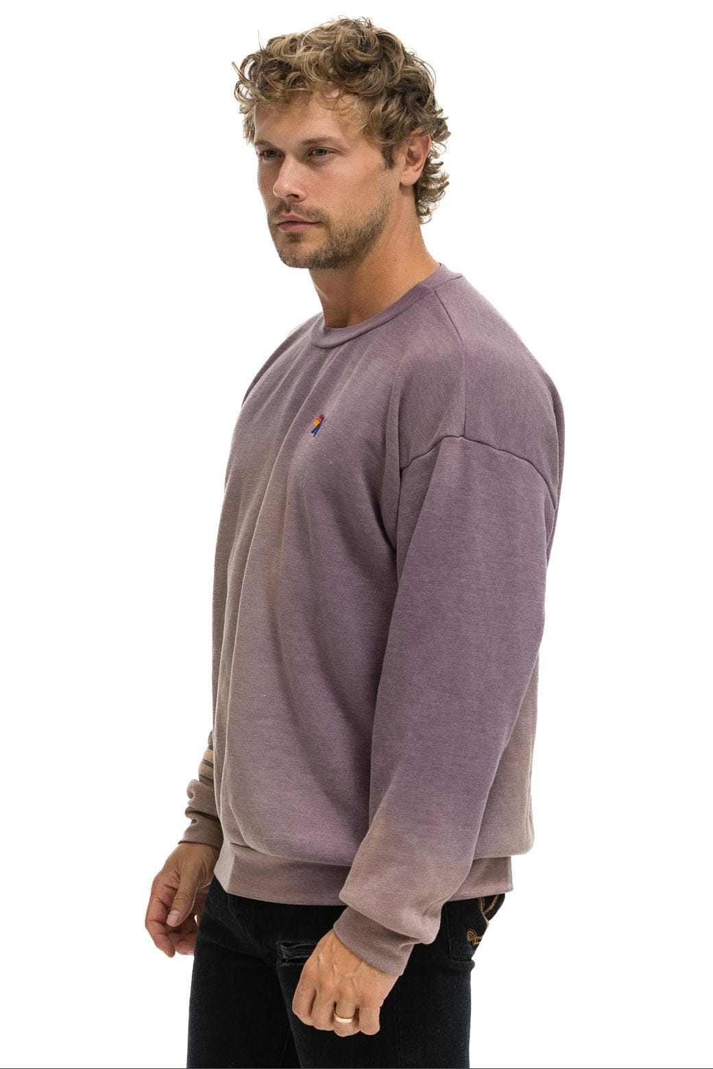 Aviator Nation RUGBY STITCH RELAXED CREW SWEATSHIRT - FADED MOCHA