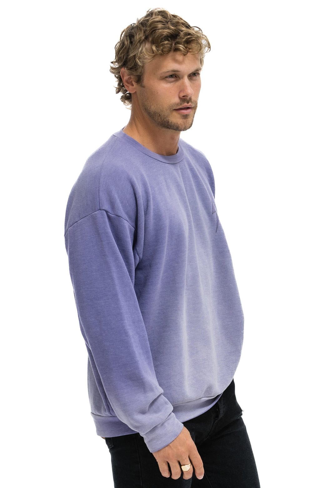 Aviator Nation BOLT STITCH 2 RELAXED CREW SWEATSHIRT - FADED GRAPE