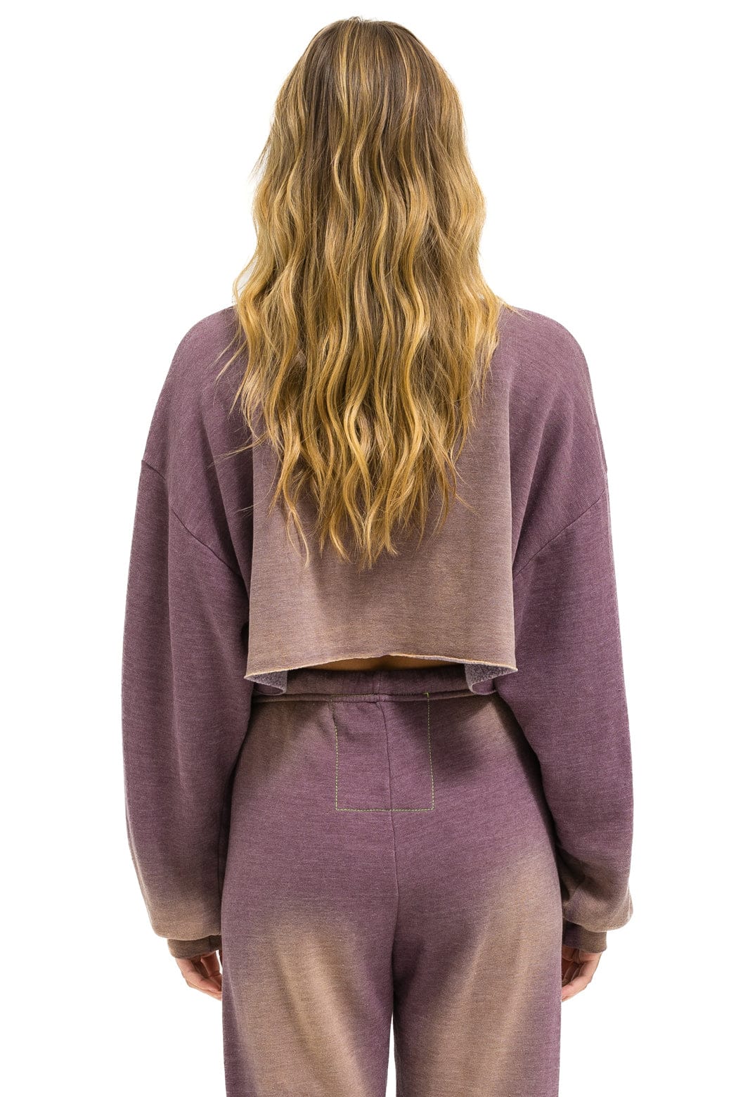Aviator Nation VENICE SURFER CROPPED CREW SWEATSHIRT RELAXED - FADED MOCHA