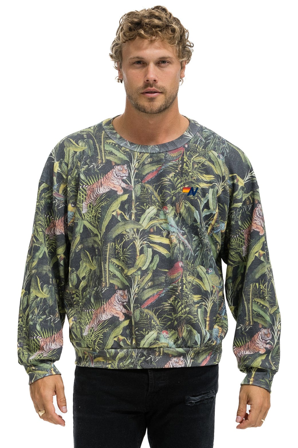 Aviator Nation JUNGLE RELAXED CREW SWEATSHIRT - VINTAGE CHARCOAL