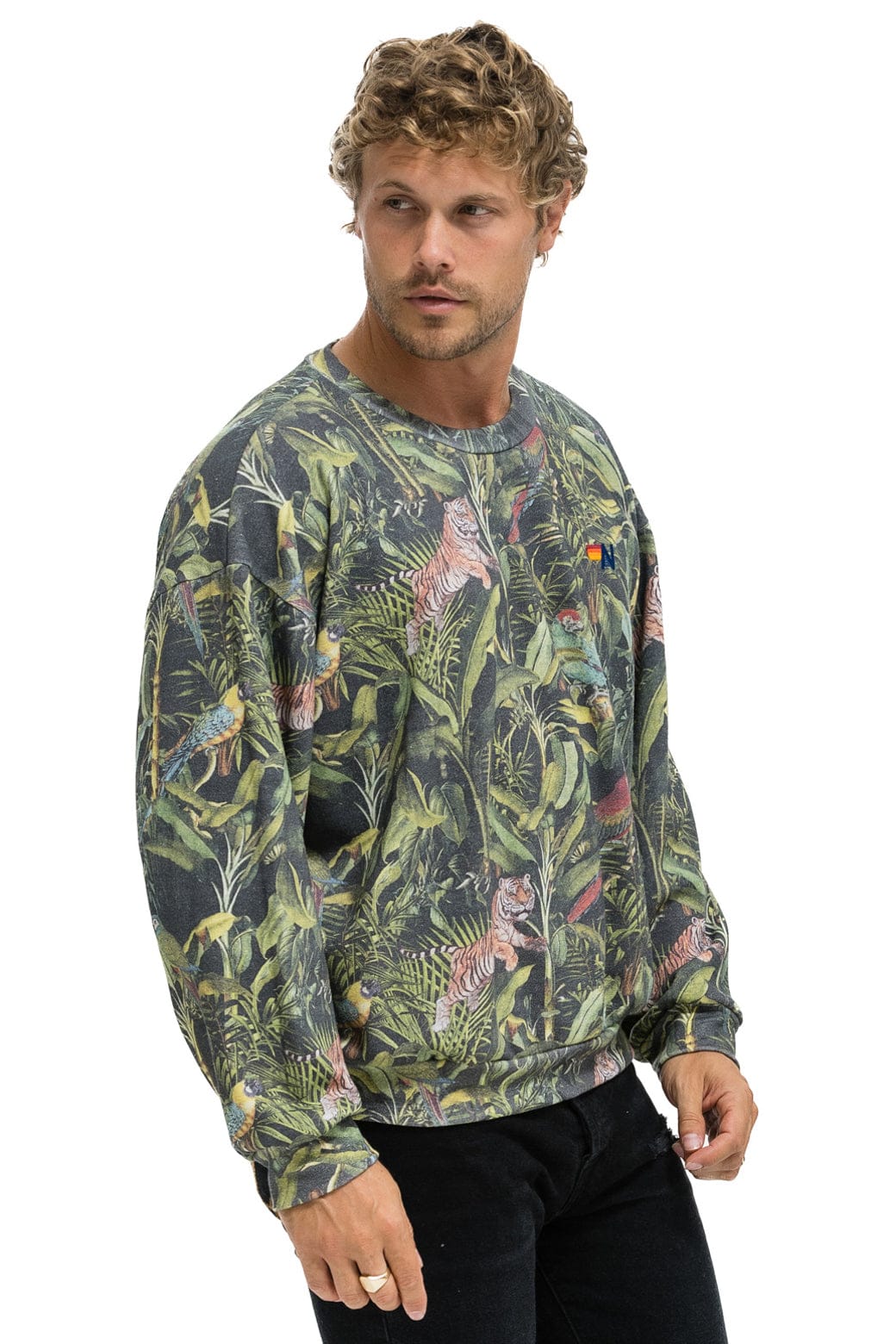 Aviator Nation JUNGLE RELAXED CREW SWEATSHIRT - VINTAGE CHARCOAL
