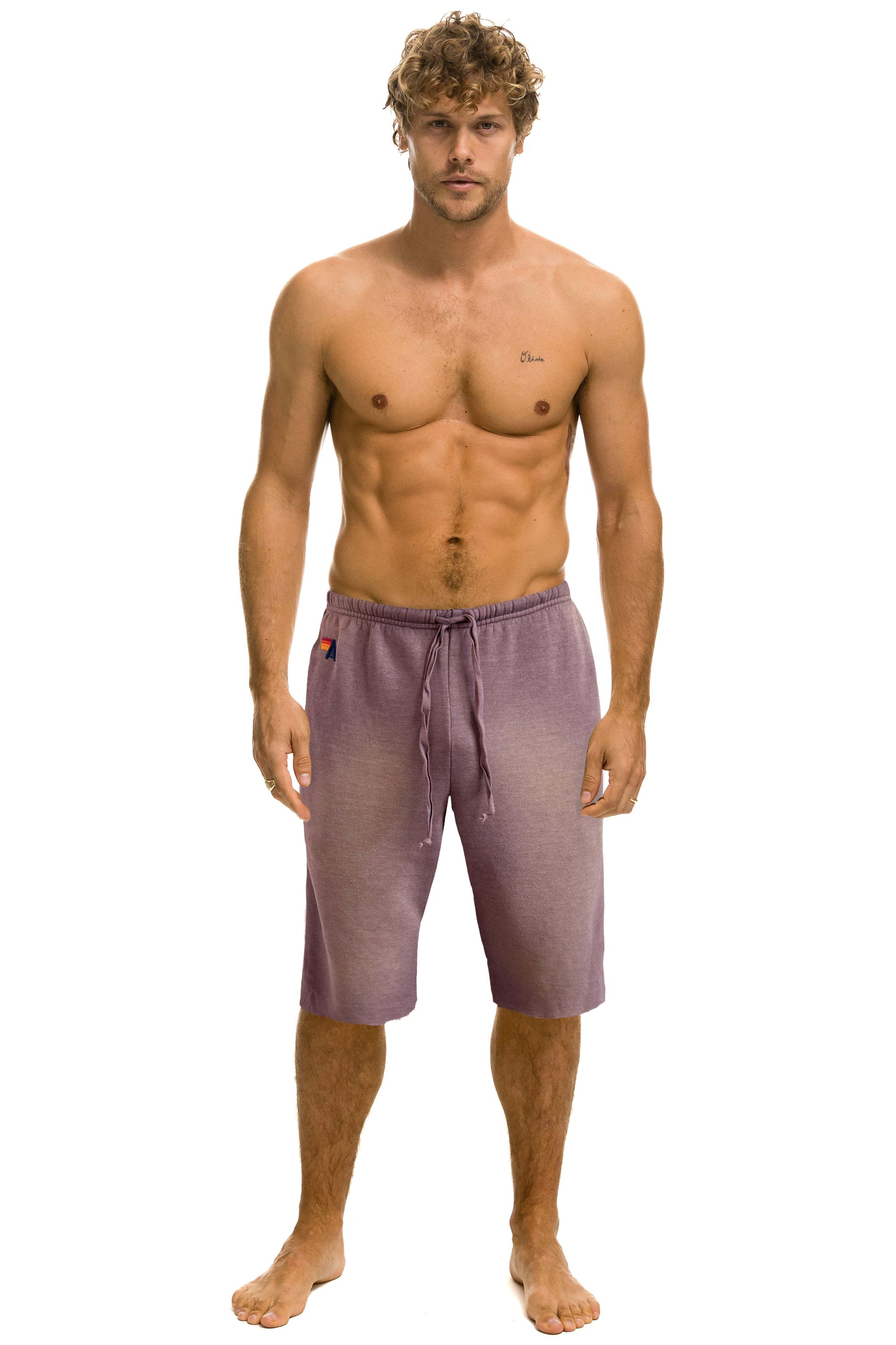 Aviator Nation ESSENTIAL MENS SWEATSHORTS - FADED MOCHA