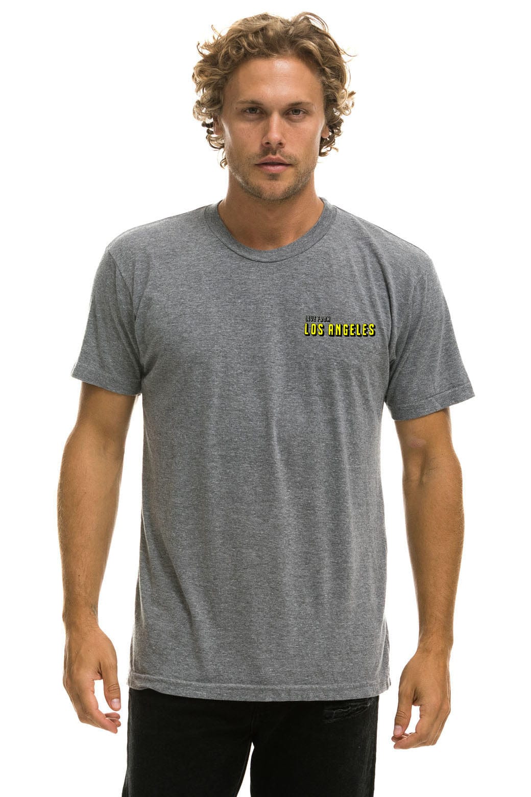 Aviator Nation DREAMLAND LA FIRES BENEFIT CREW TEE - HEATHER GREY