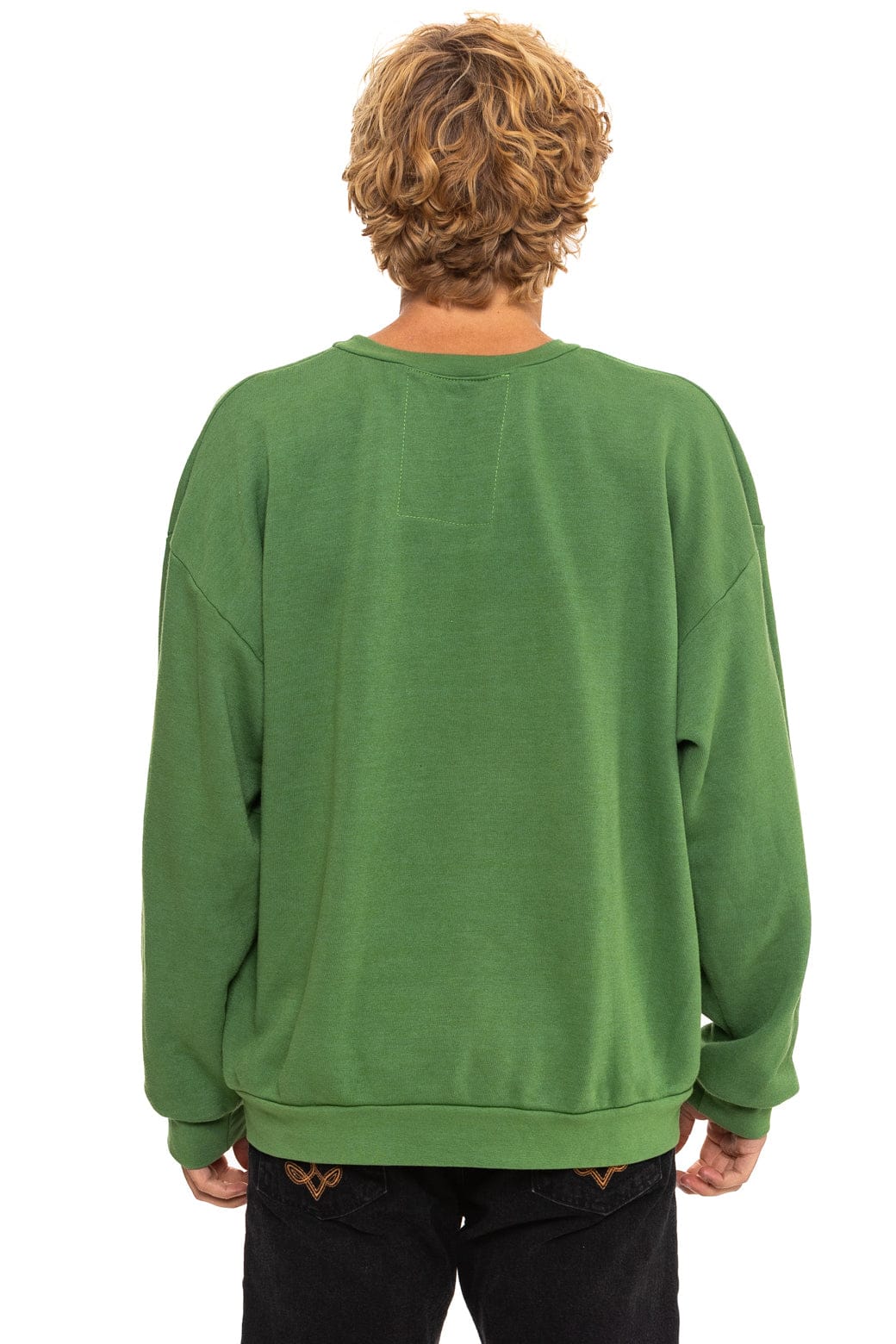 Aviator Nation ALL SEASONS CIRCLE RELAXED CREW SWEATSHIRT - PALM