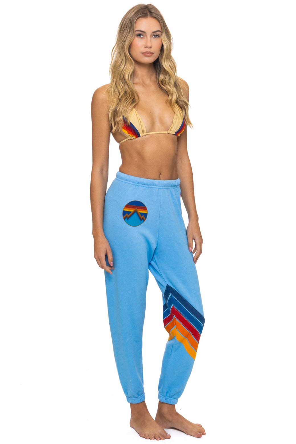 Aviator Nation ALL SEASONS CIRCLE CHEVRON SWEATPANTS - SKY