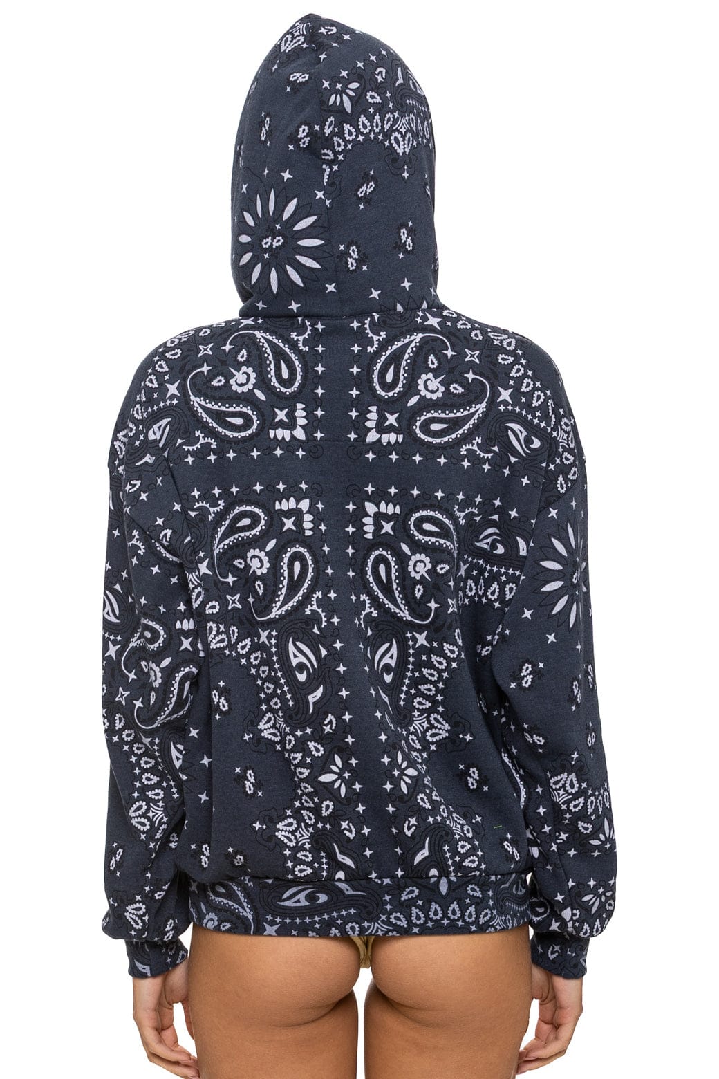 Aviator Nation BANDANA MALIBU RELAXED PULLOVER HOODIE - CHARCOAL