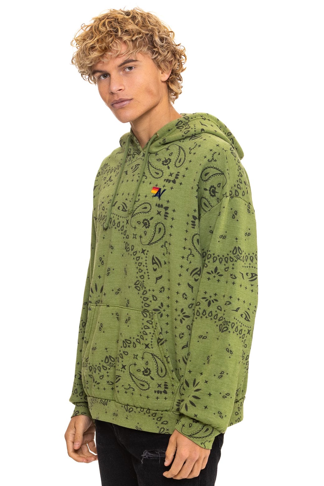 Aviator Nation BANDANA RELAXED PULLOVER HOODIE - JUNGLE GREEN